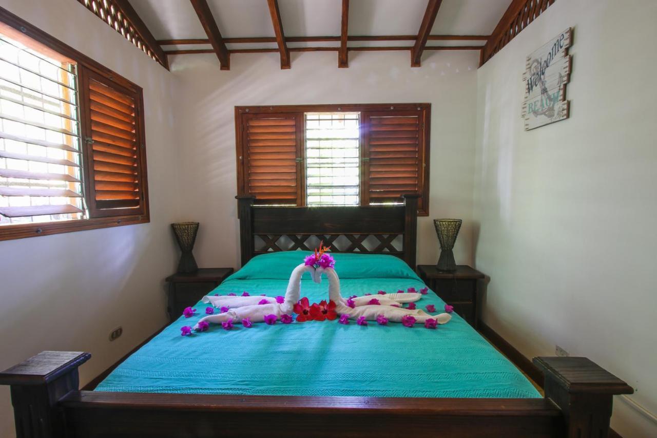 Oasis Mal Pais Nicoya