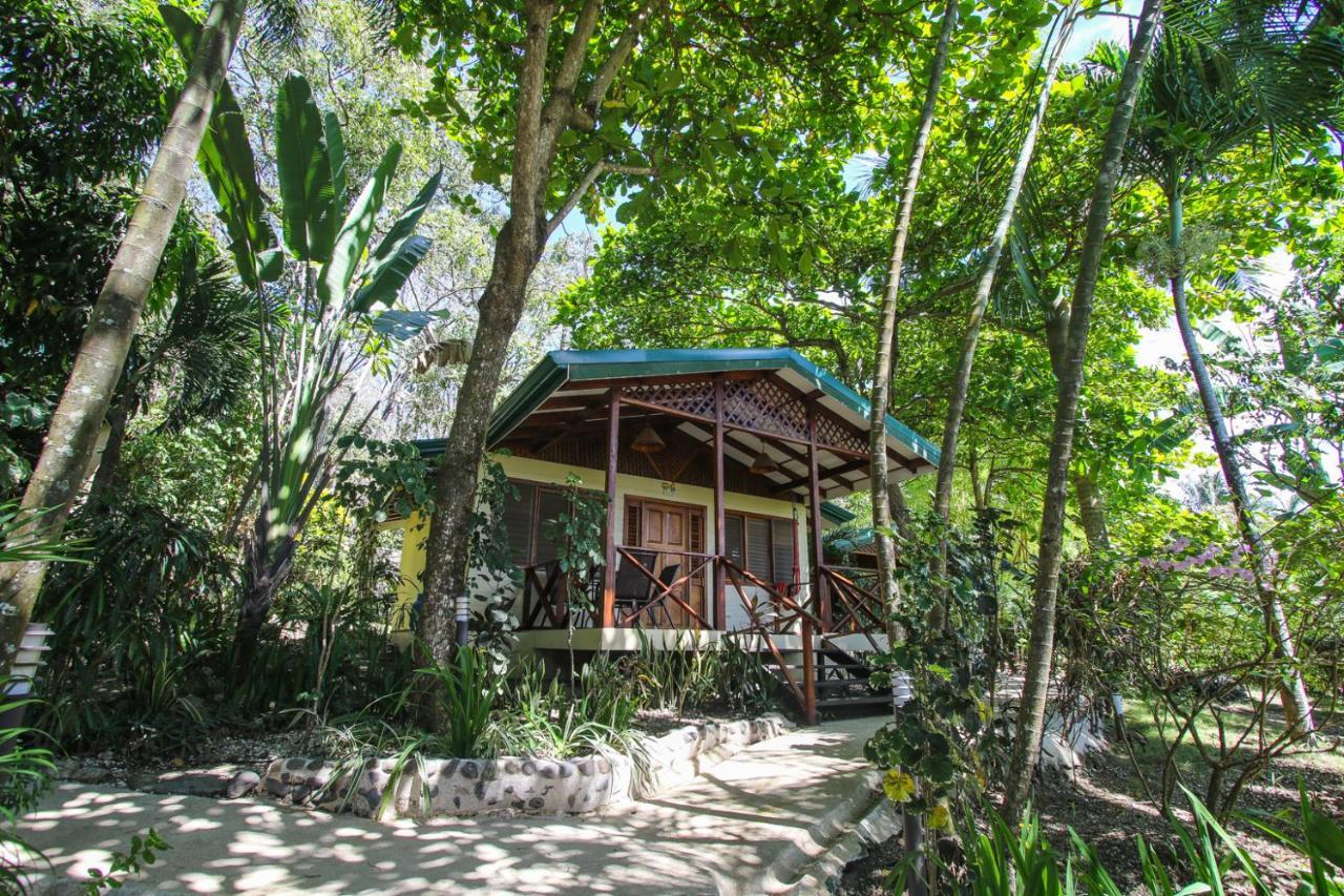 Hotel Oasis Mal Pais