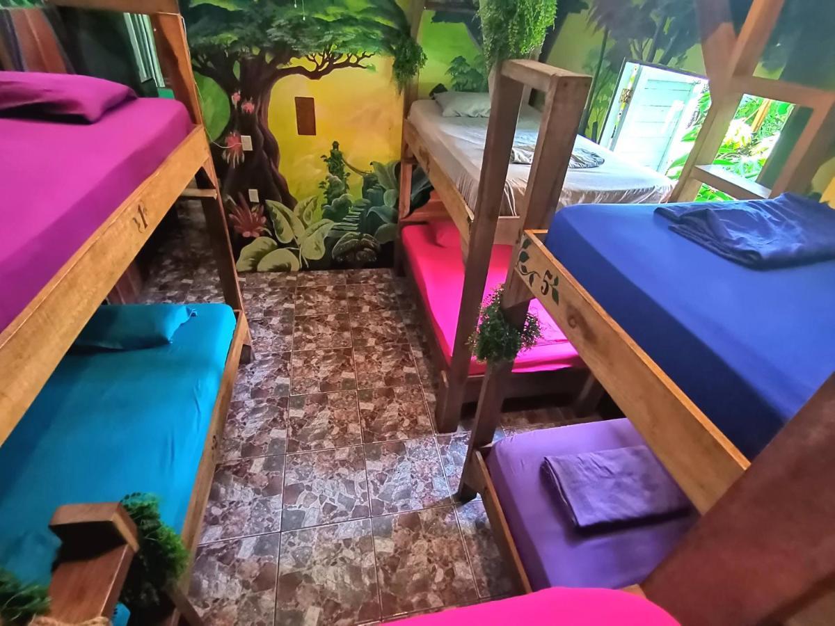 Oasis