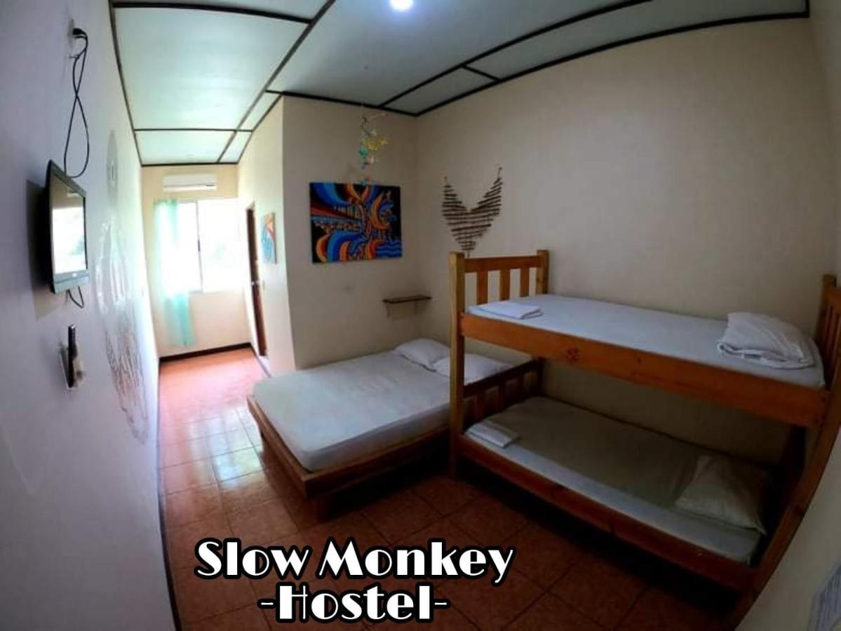 Guest house Slow Monkey