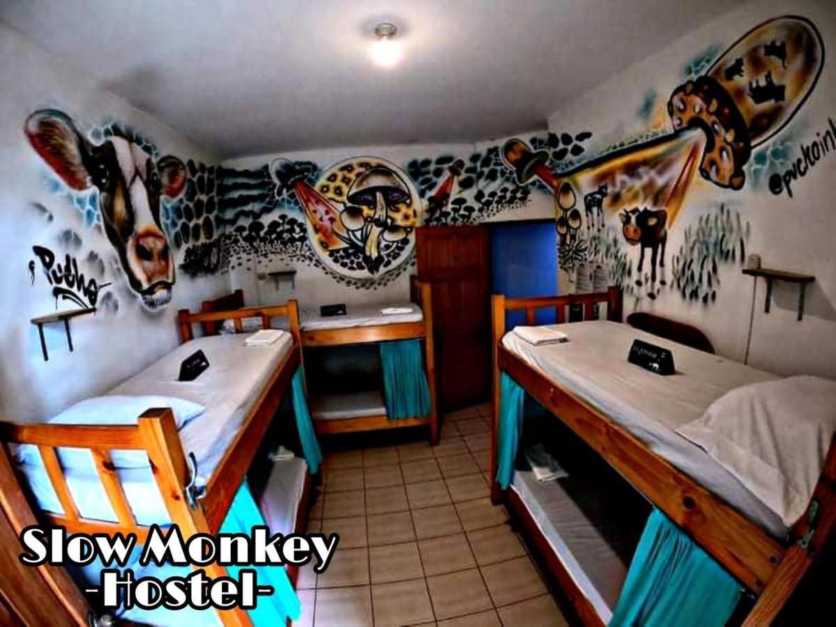 Guest house Slow Monkey Playa Santa Teresa (Puntarenas)