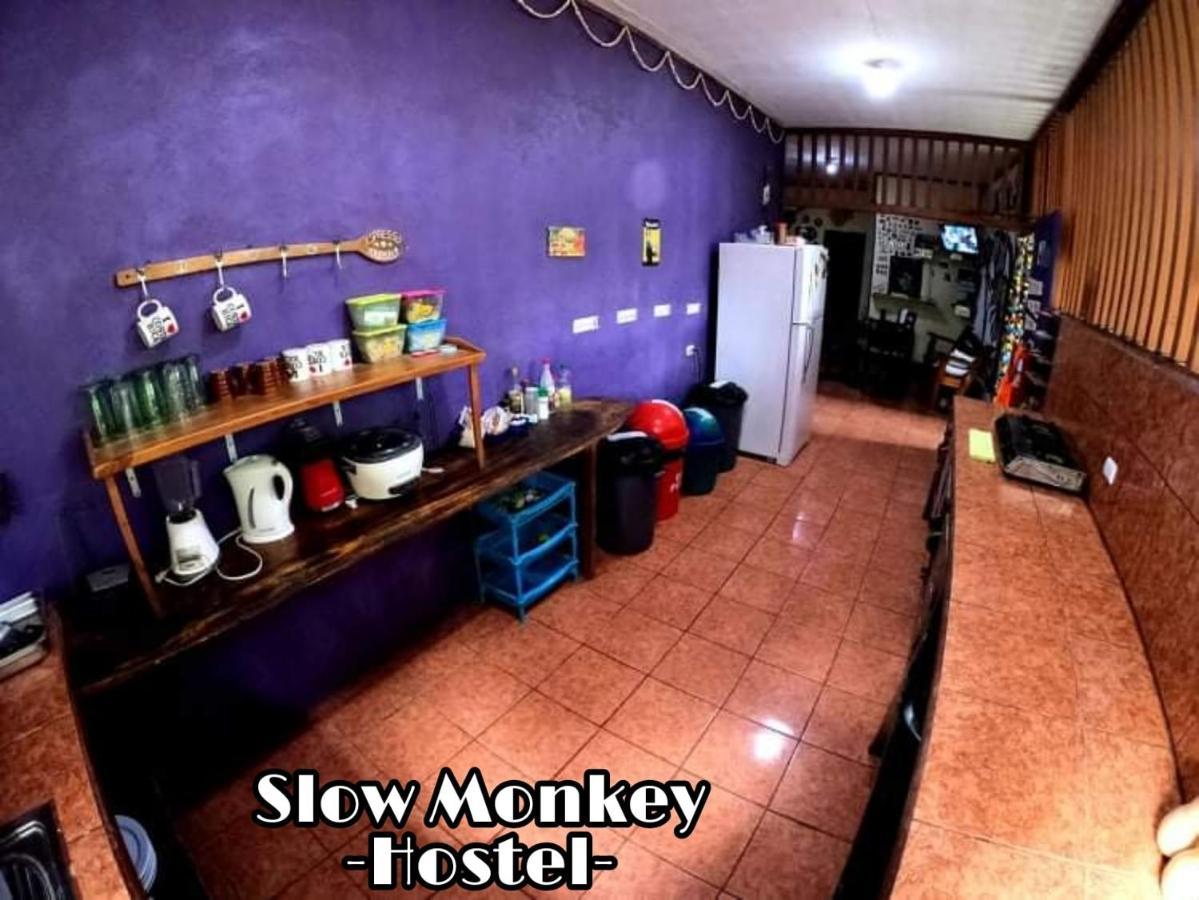 Guest house Slow Monkey