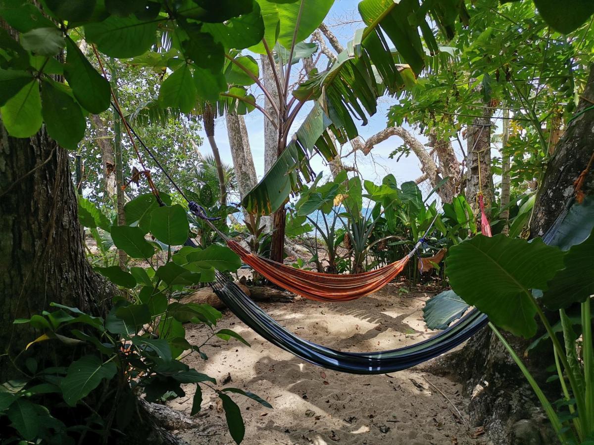 Hostel Oasis