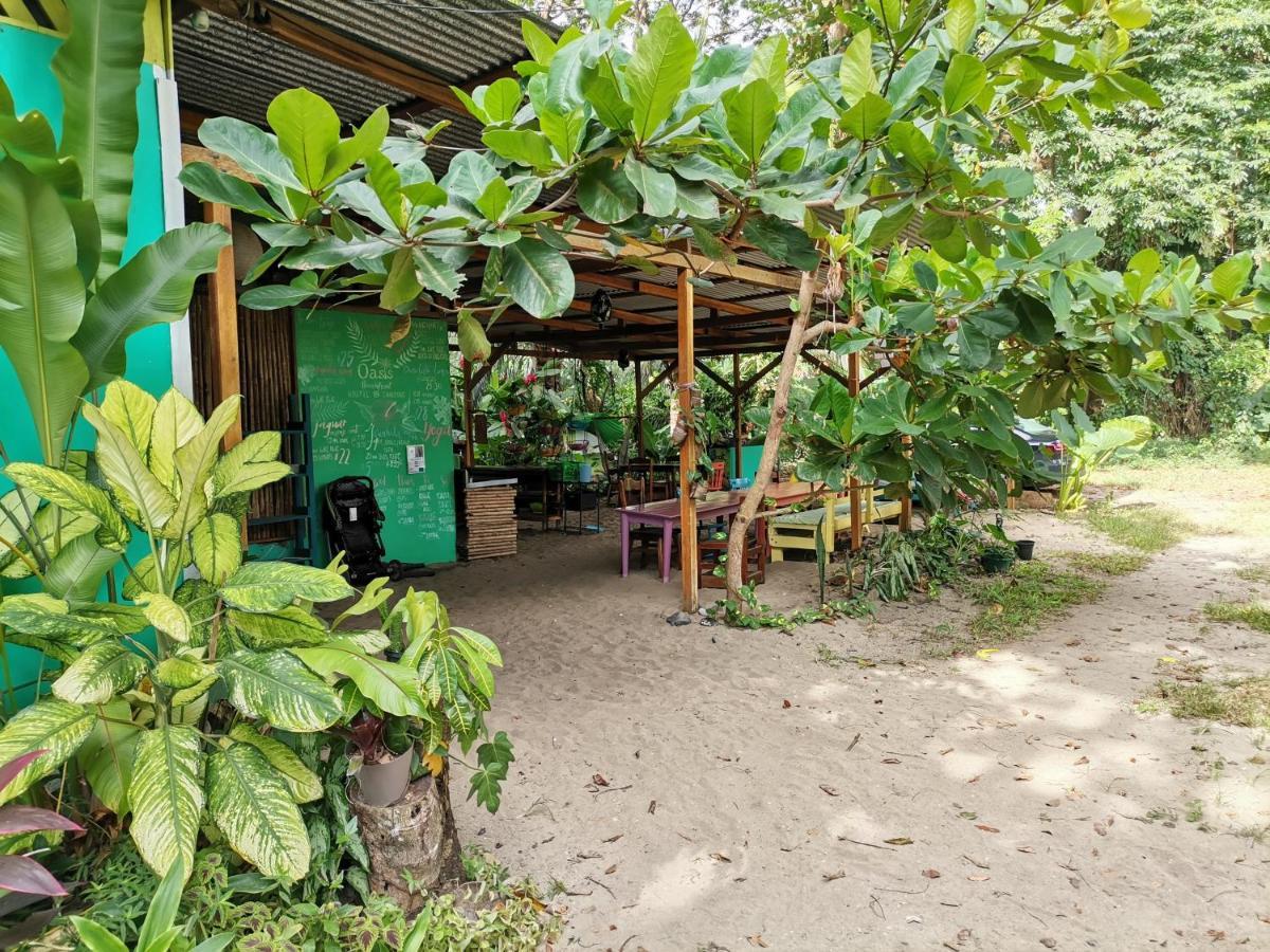 Oasis Hostel