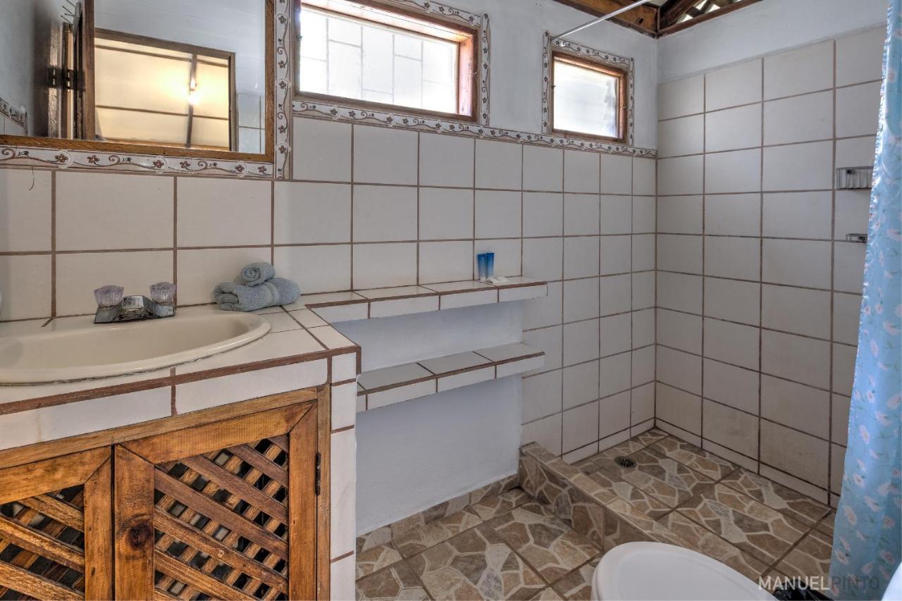 Casa Violeta House In *