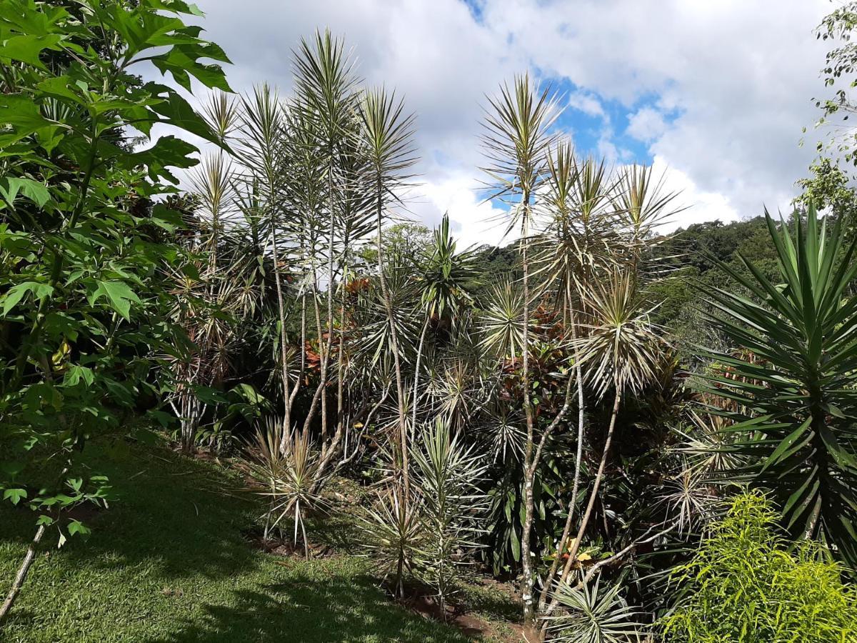 Marita's Nuevo Arenal