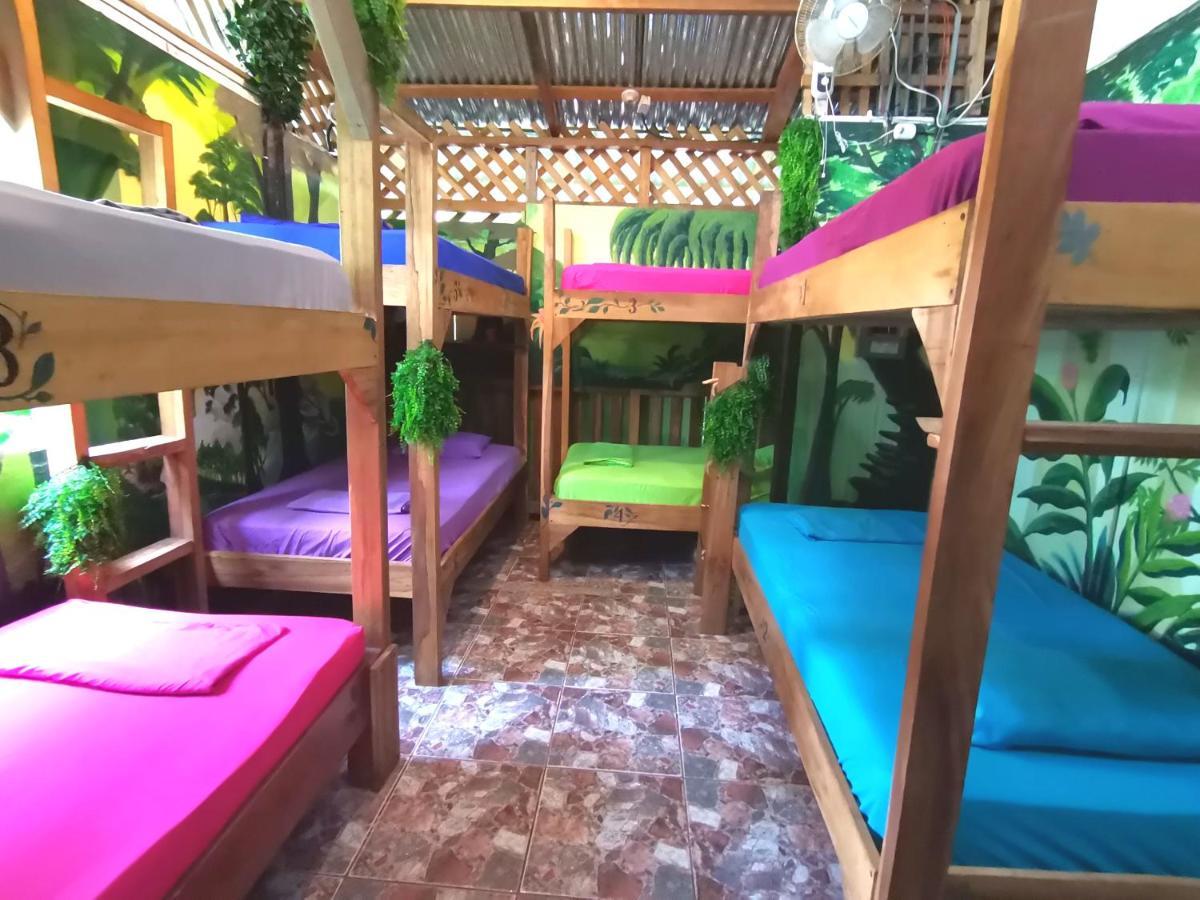Oasis * Puerto Viejo de Talamanca