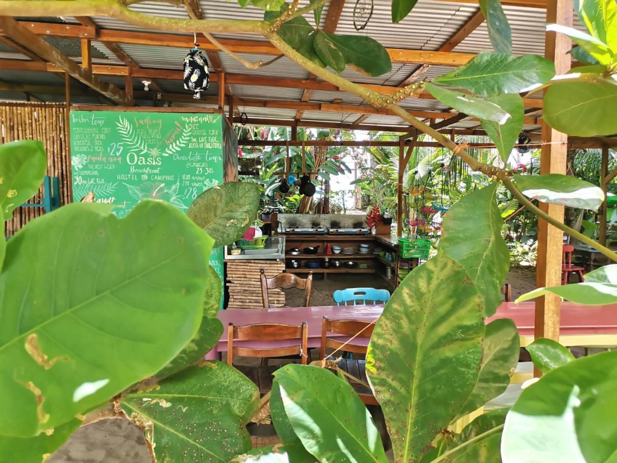 Oasis Hostel *