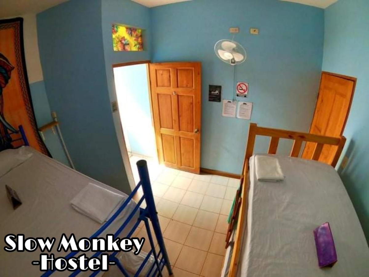 Guest house Slow Monkey