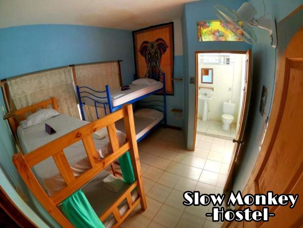 Guest house Slow Monkey Playa Santa Teresa (Puntarenas)