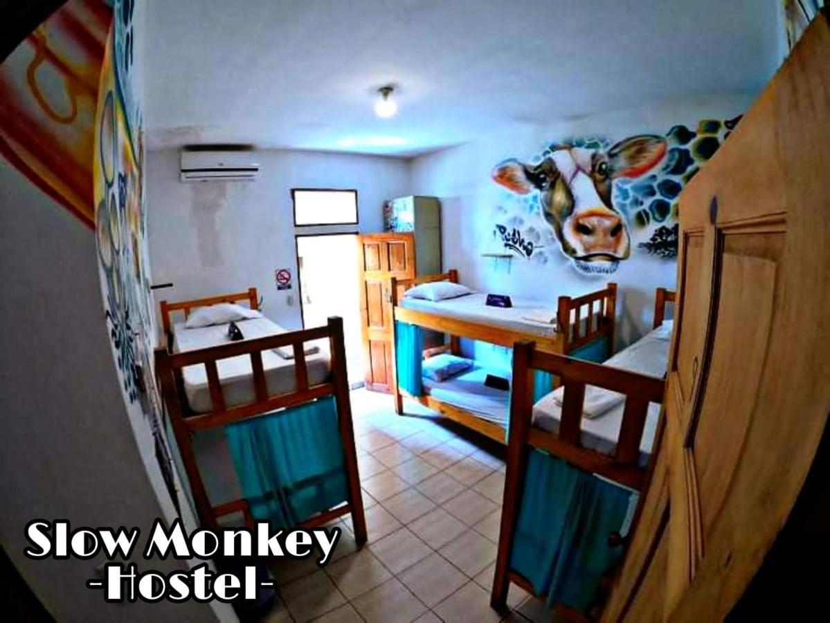 Slow Monkey Playa Santa Teresa (Puntarenas)