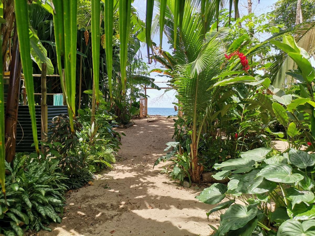 Oasis Hostel Puerto Viejo de Talamanca