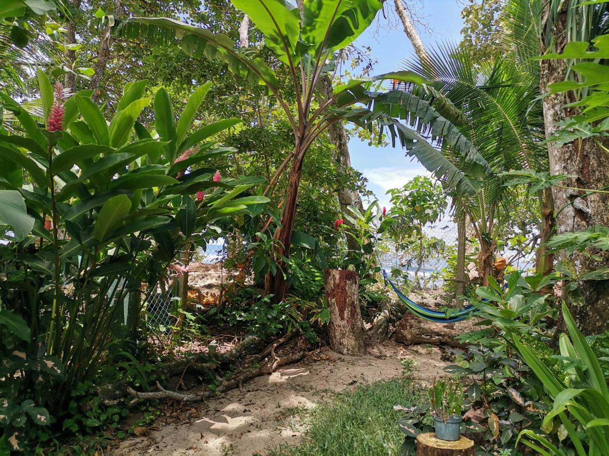 Oasis Hostel
