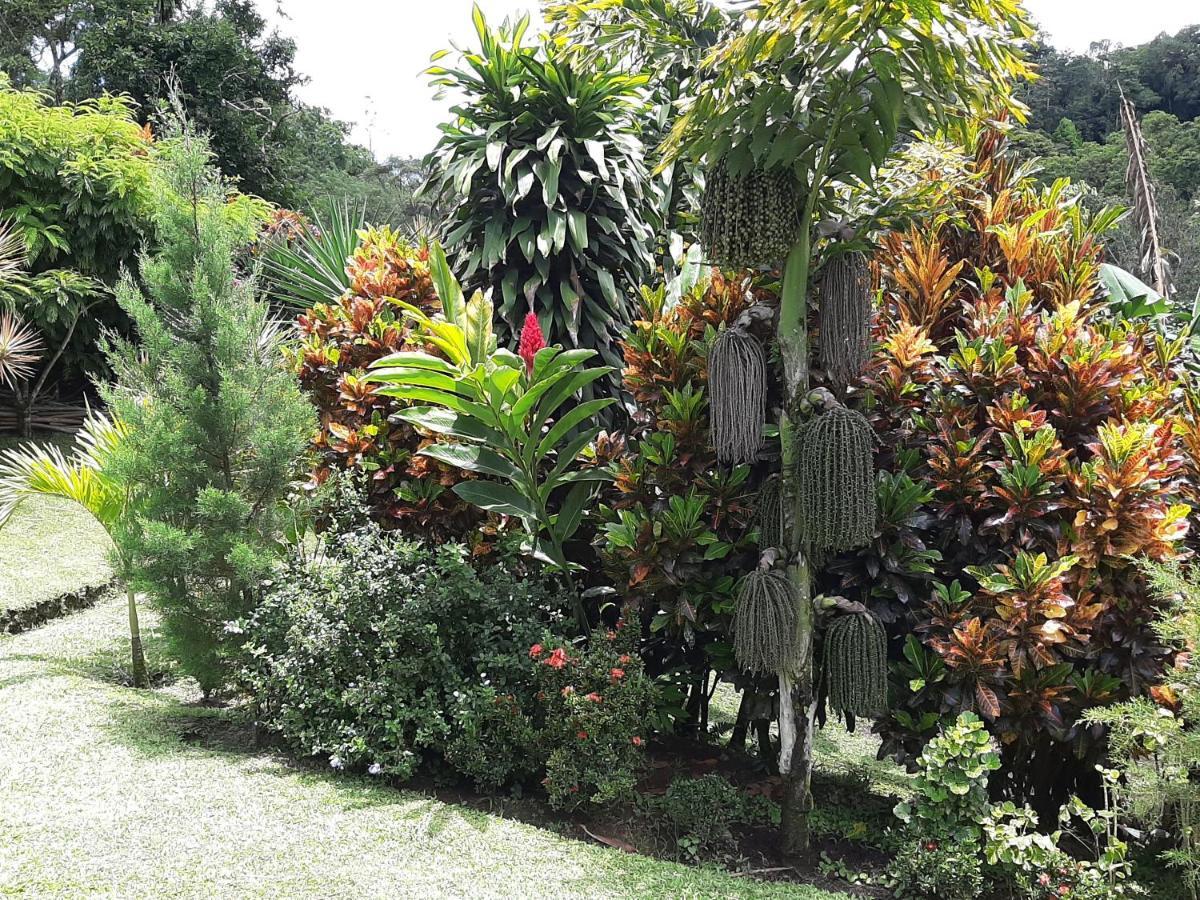 Marita's Bed & Breakfast Nuevo Arenal