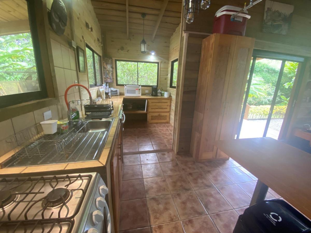 Oasis Retreat With And *