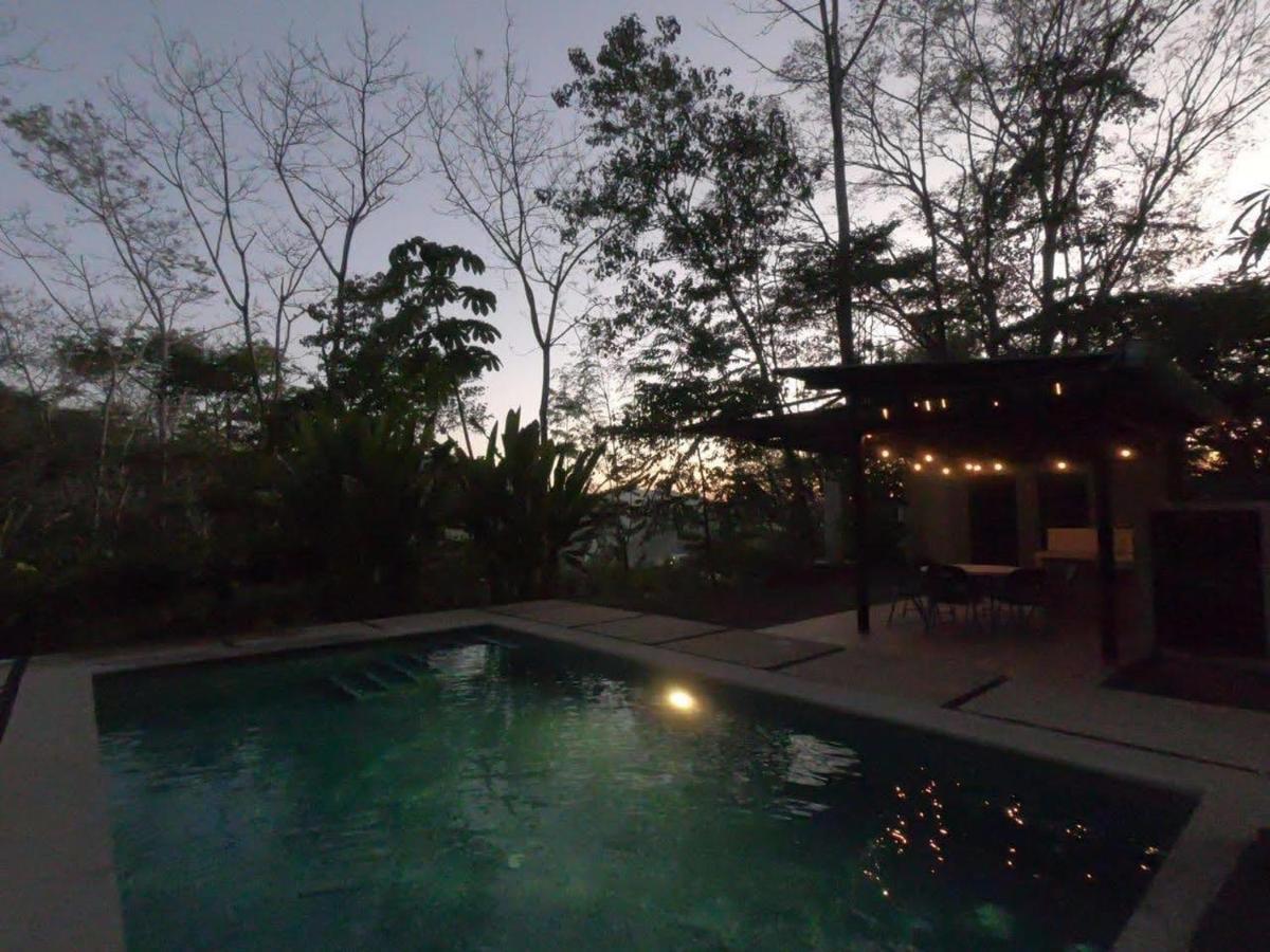 Lodge Selva Color - Forest & *