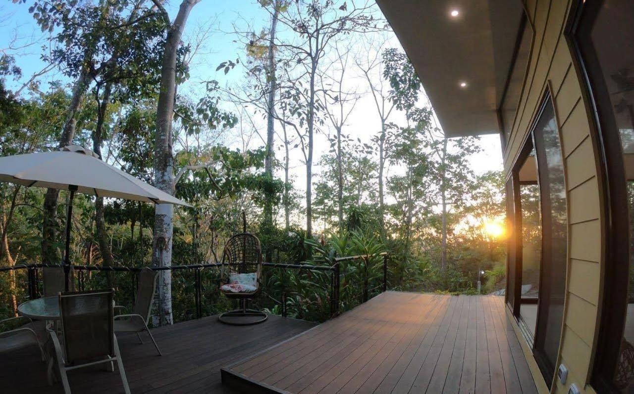 Lodge Selva Color - Forest &