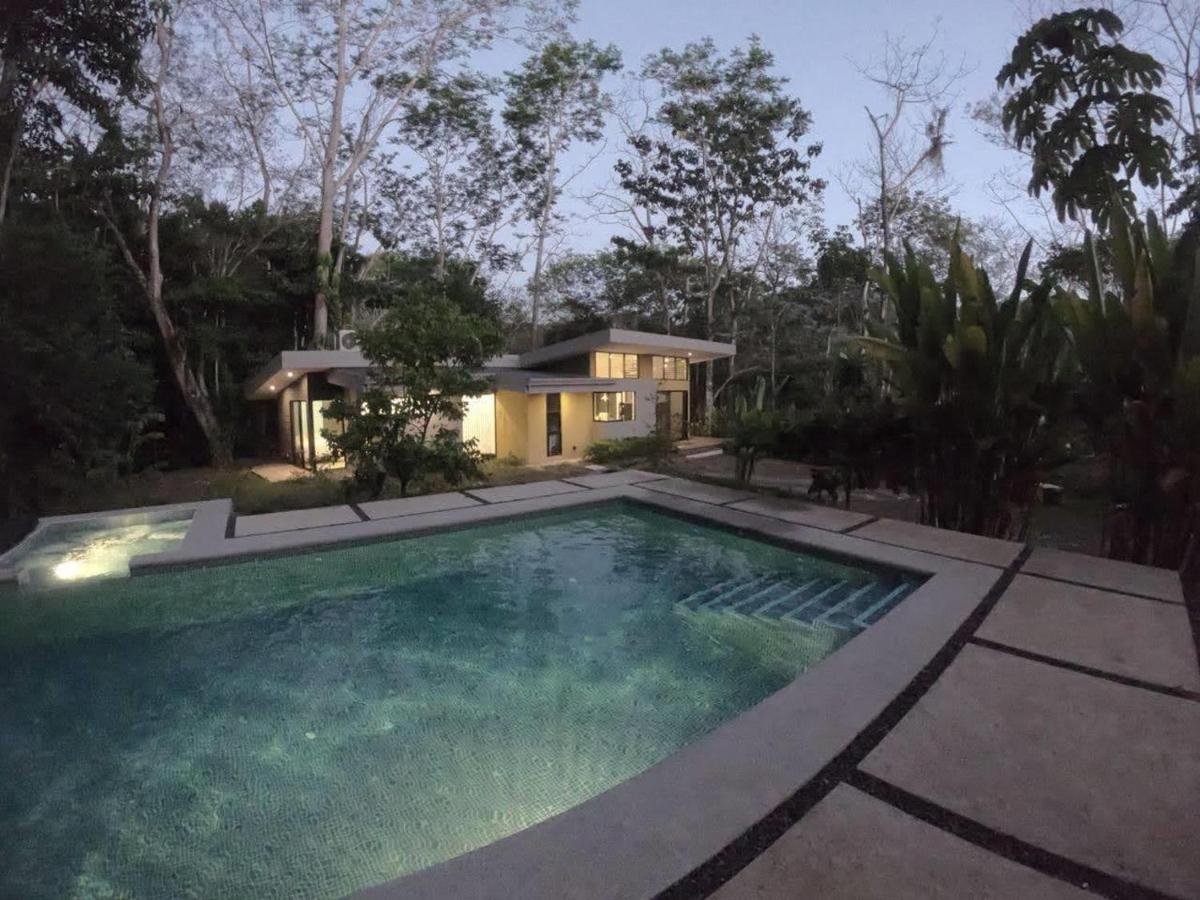 Lodge Selva Color - Forest & Quebrada Ganado