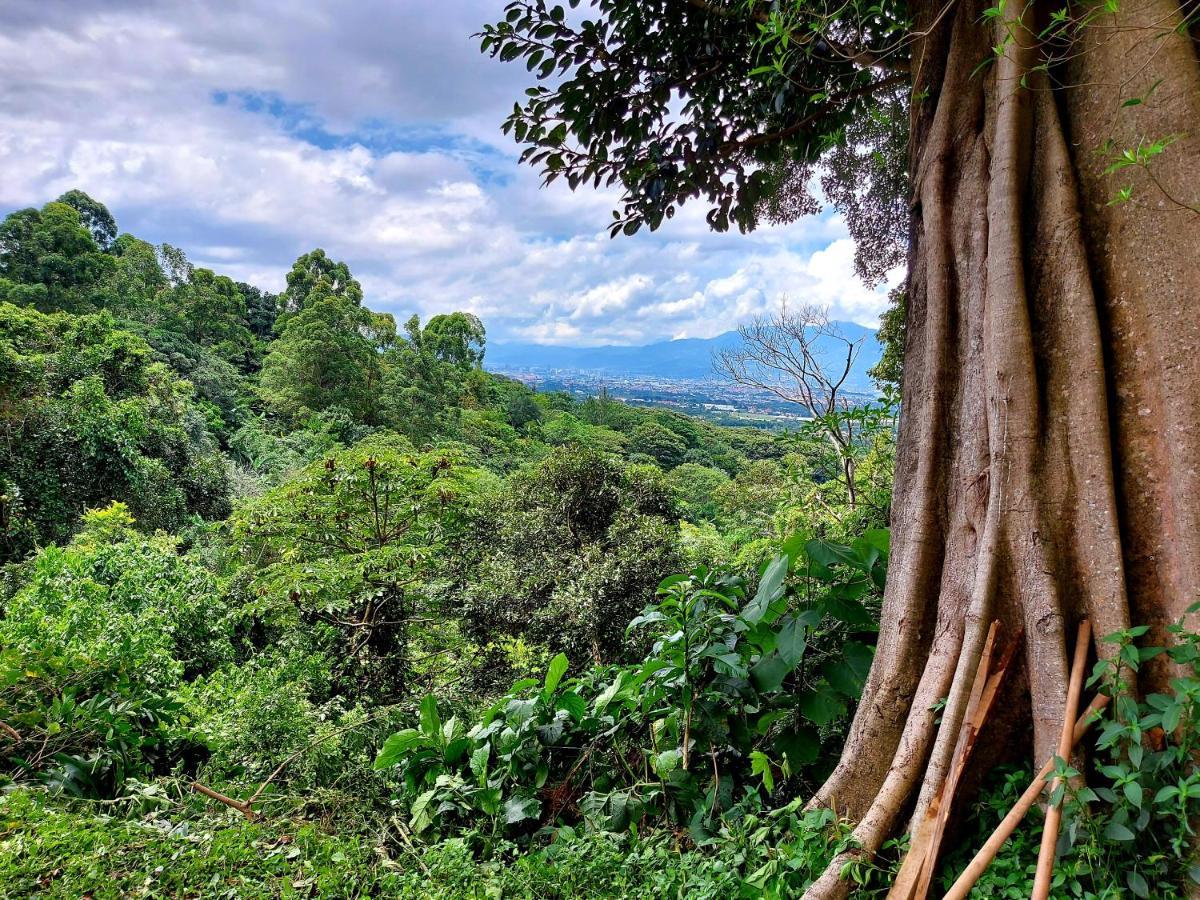 Monte Campana Heredia Birri