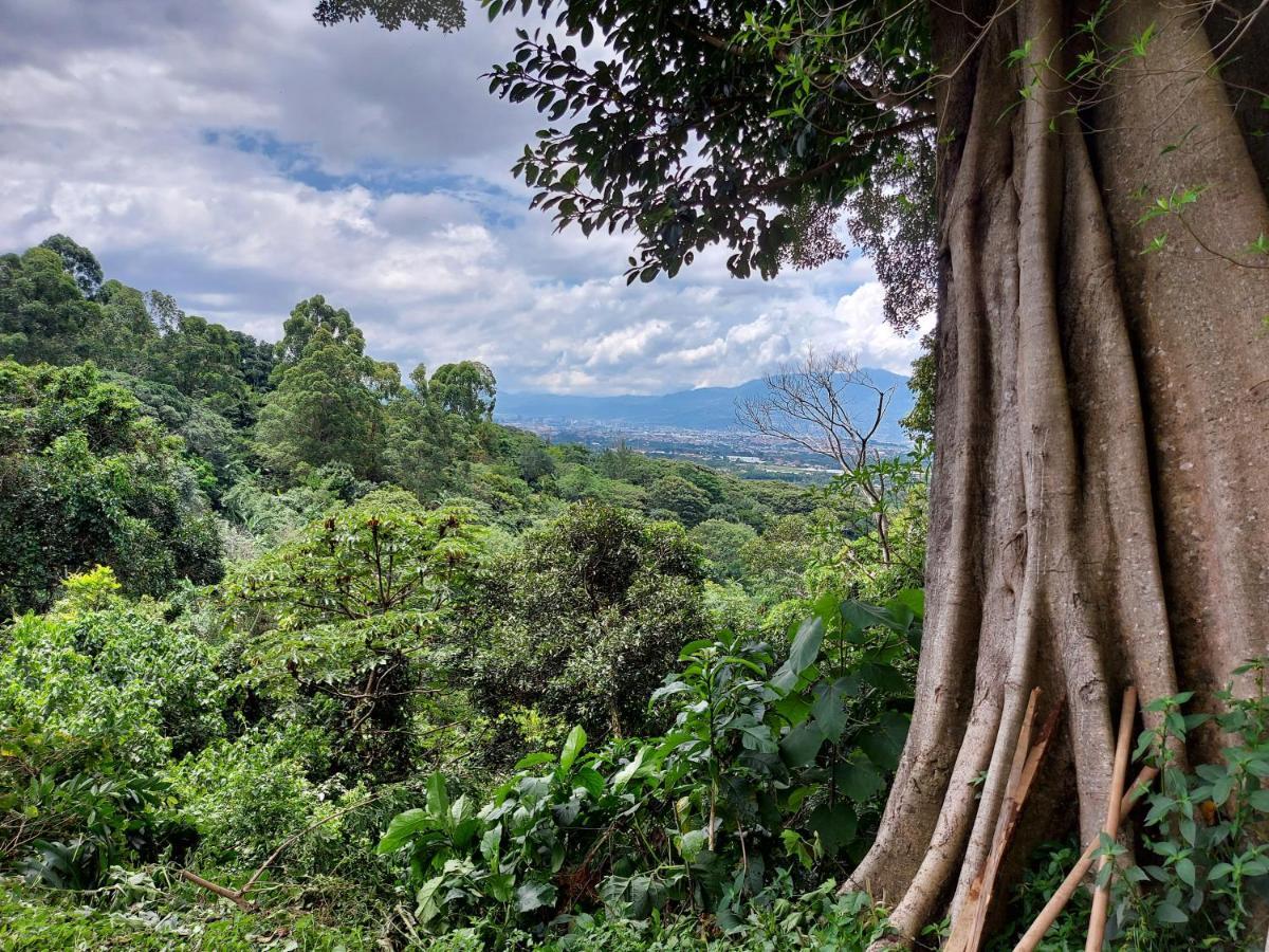 Monte Campana Heredia 3*