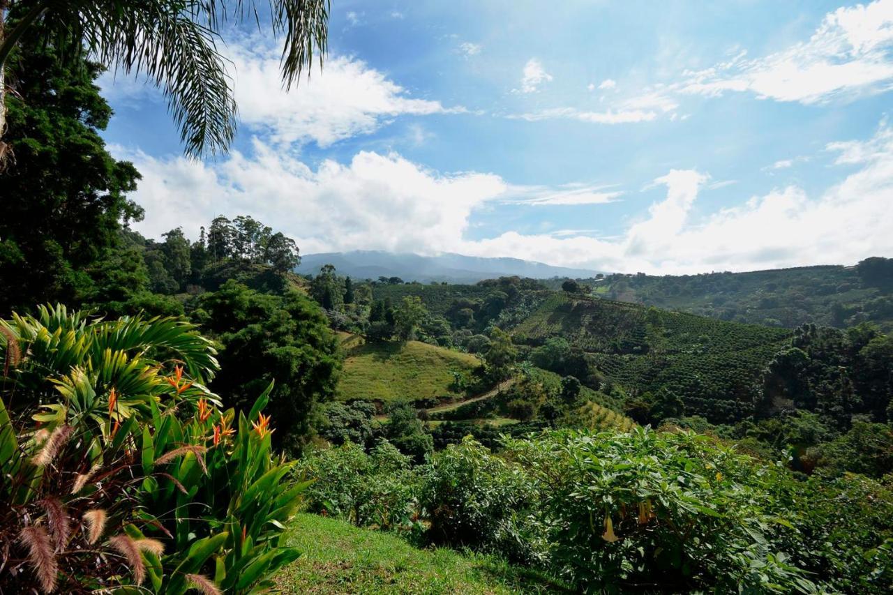 Supercostarica *