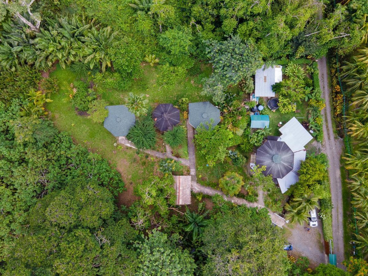 Ache Cahuita