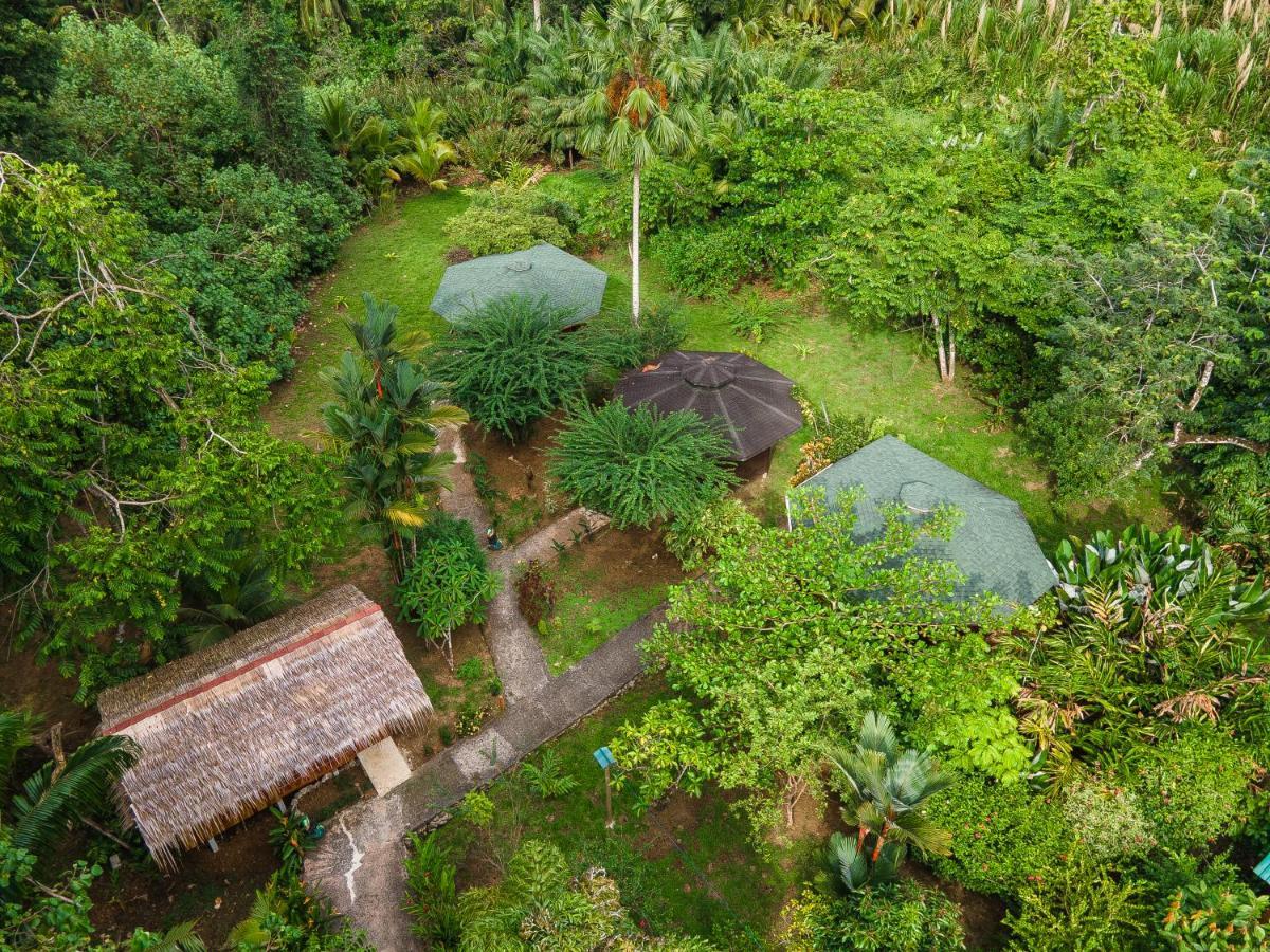 Ache Lodge Cahuita