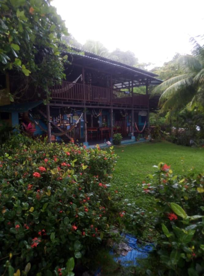 Hostel Luminosa *