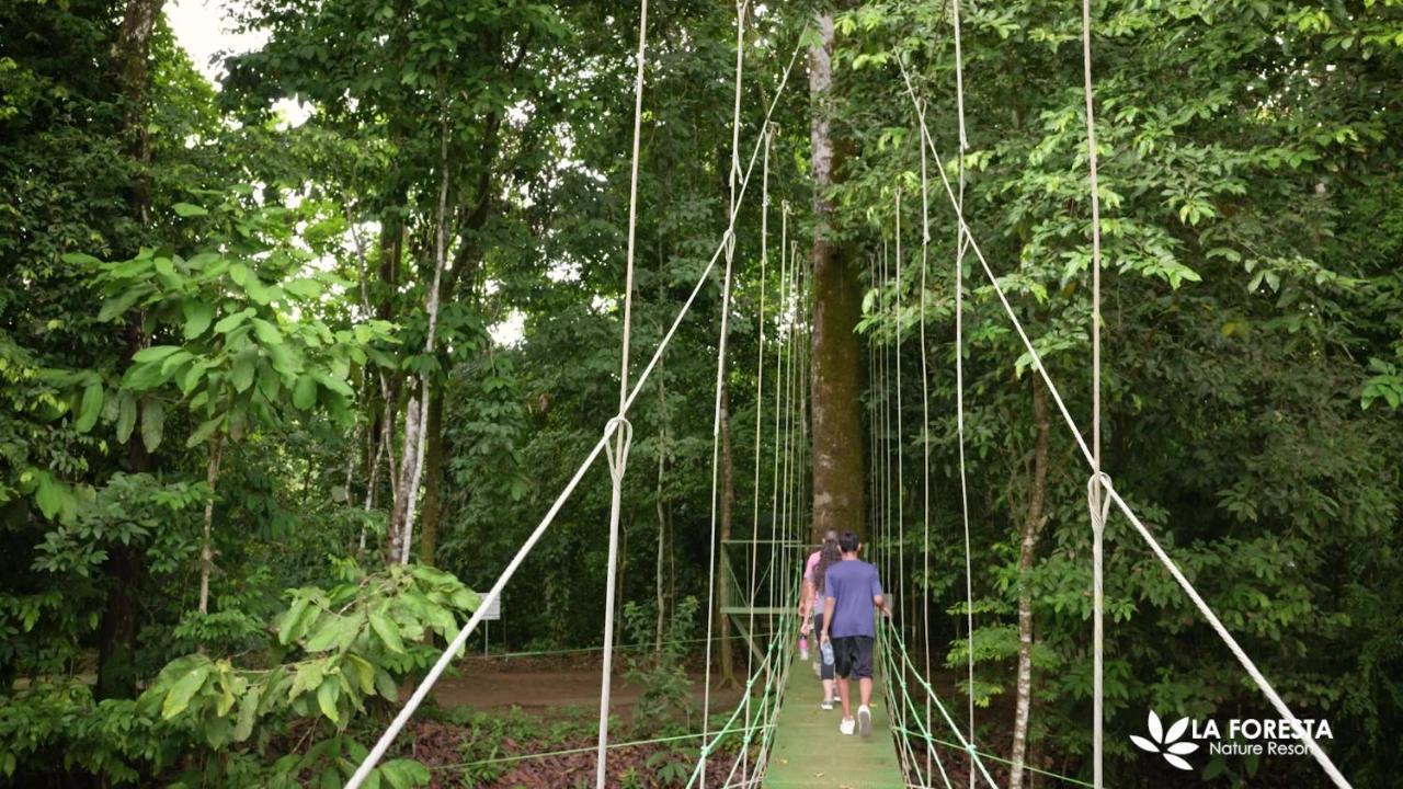 Resort La Foresta Nature