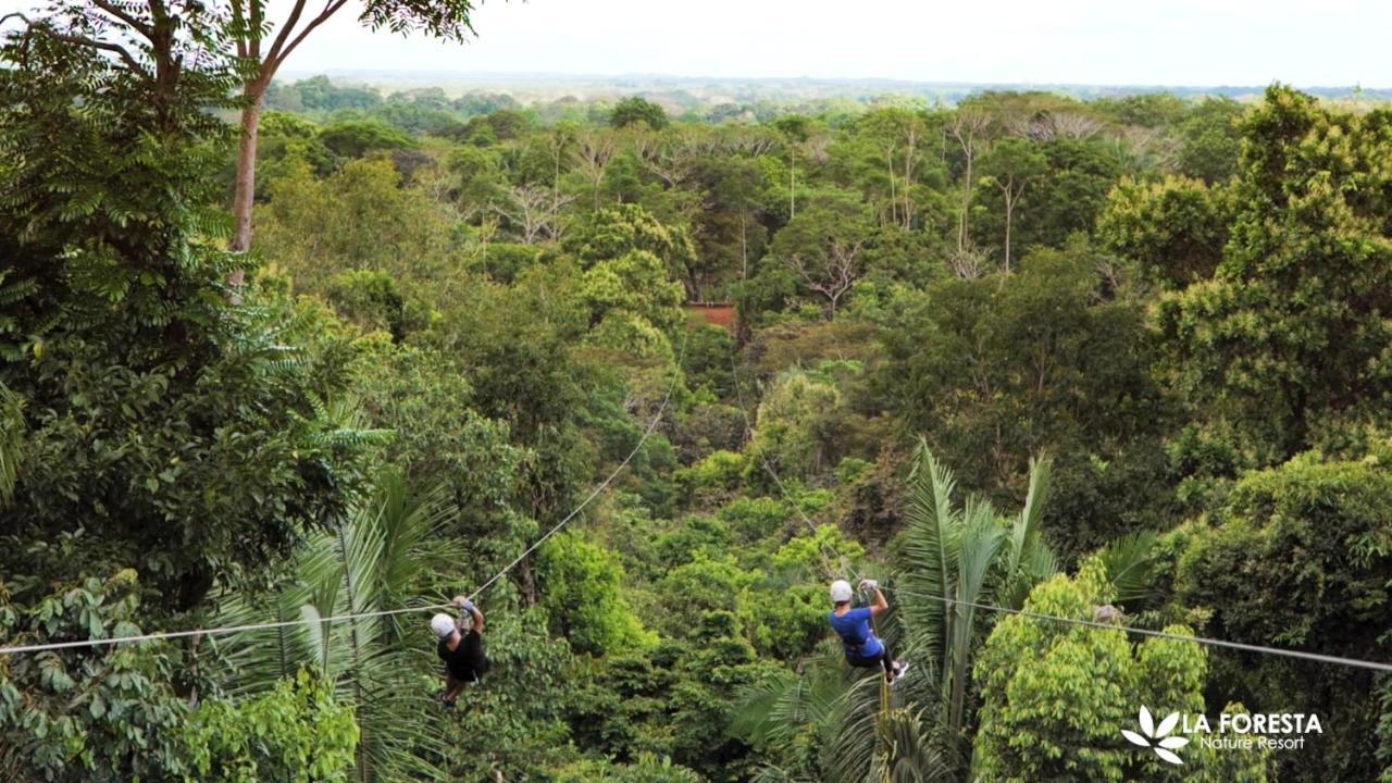 La Foresta Nature 4*