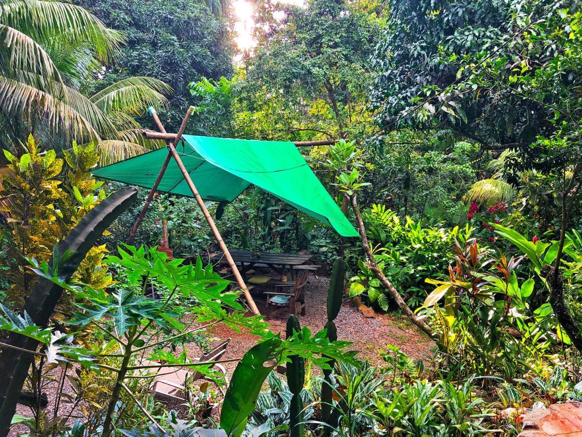 Cascada Verde Hostel Uvita