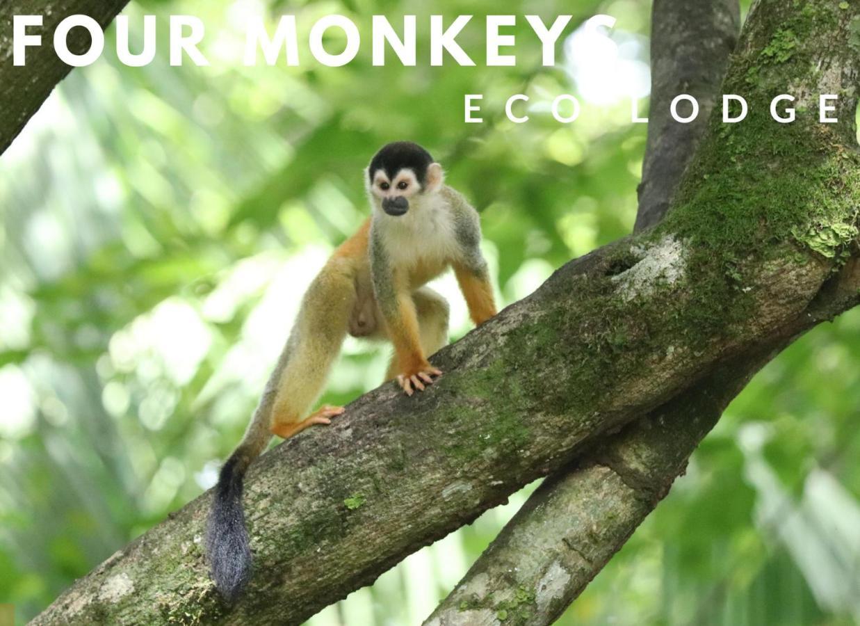 Four Monkeys Eco - Jungle & Lodge