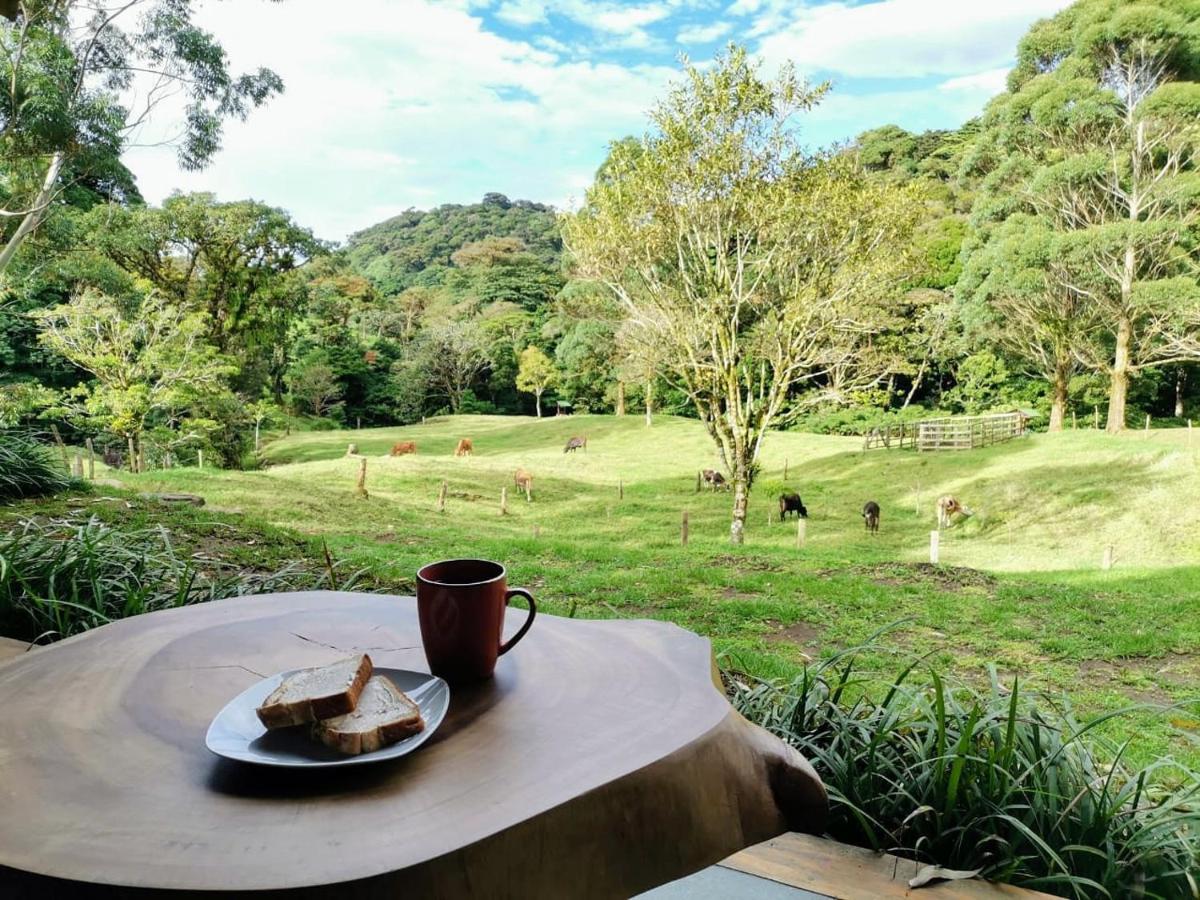 Holiday home Olingo Monteverde