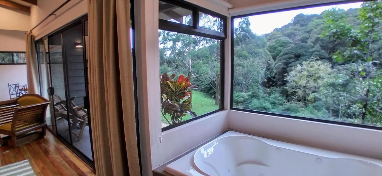 Olingo Holiday home Monteverde