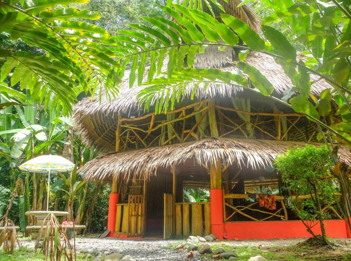 Casa Moabi Bed & Breakfast Cocles