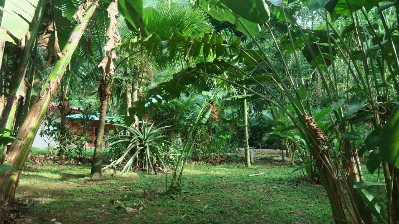 Bed & Breakfast Casa Moabi 2*