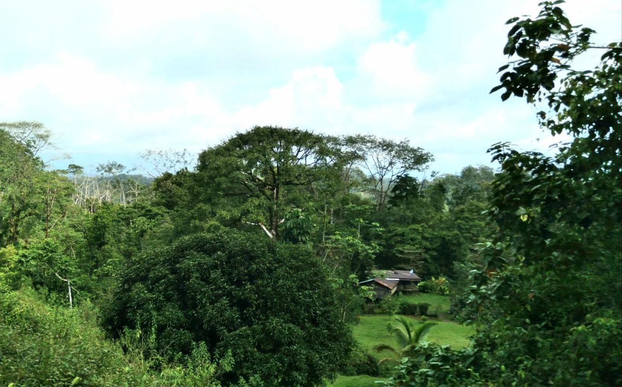 Sueno De Osa Hotel