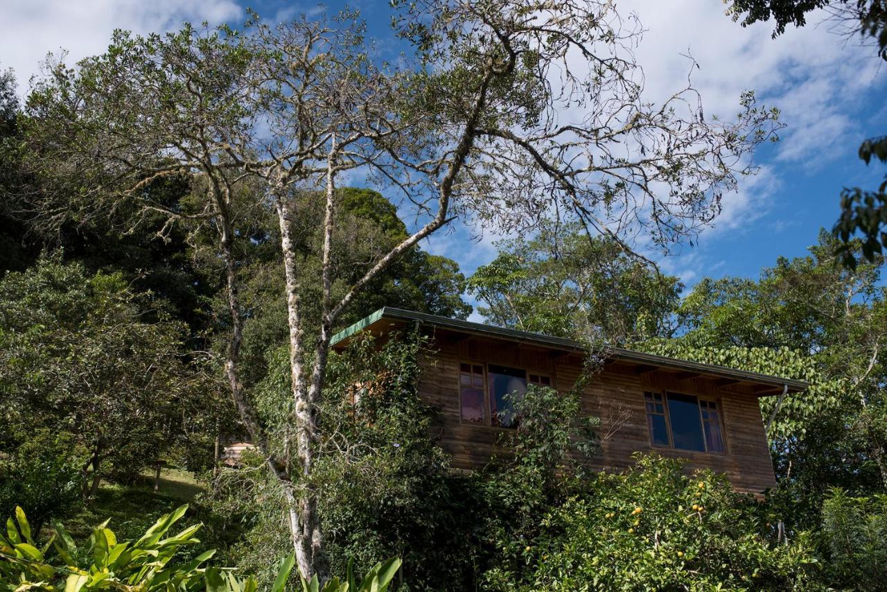 Lodge Cedrela Eco-lodge & Restaurante