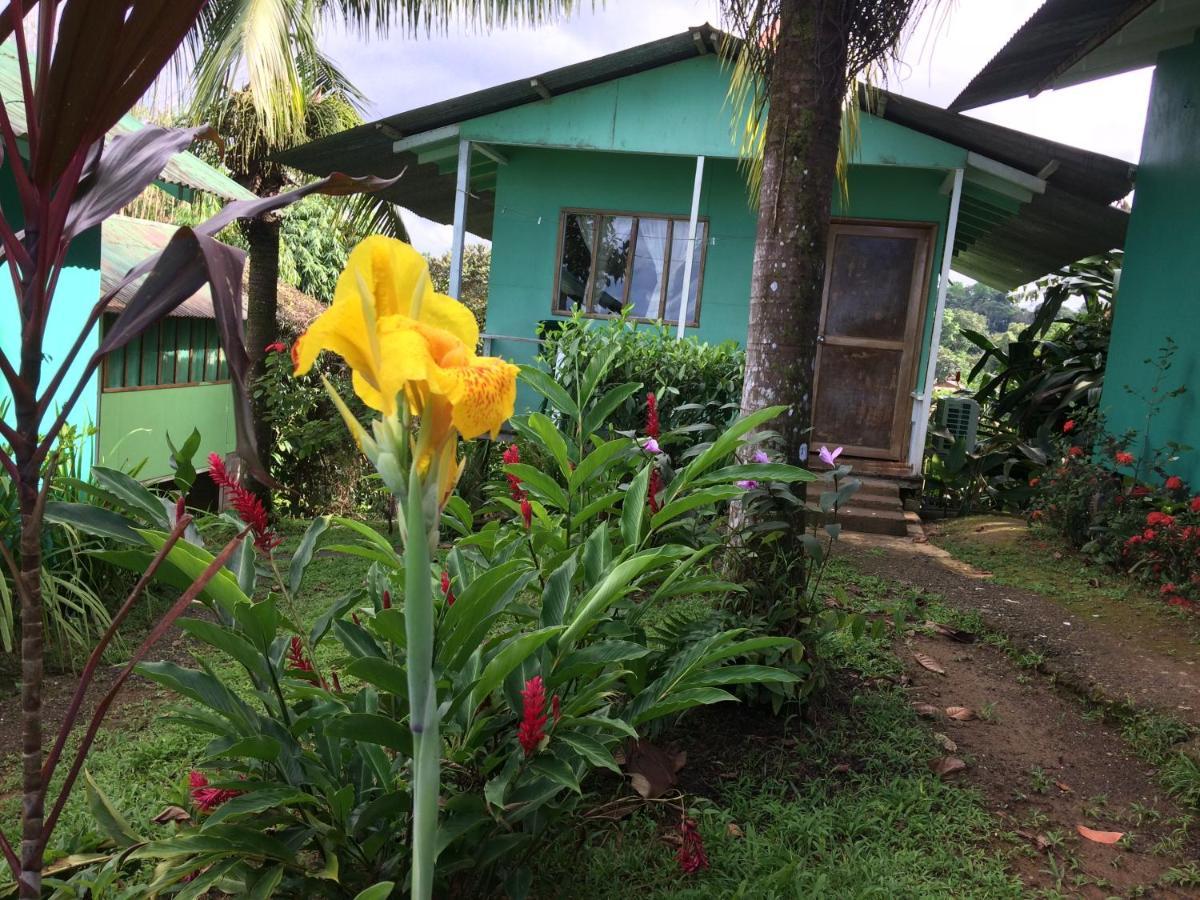 Casa Jade Hostel *