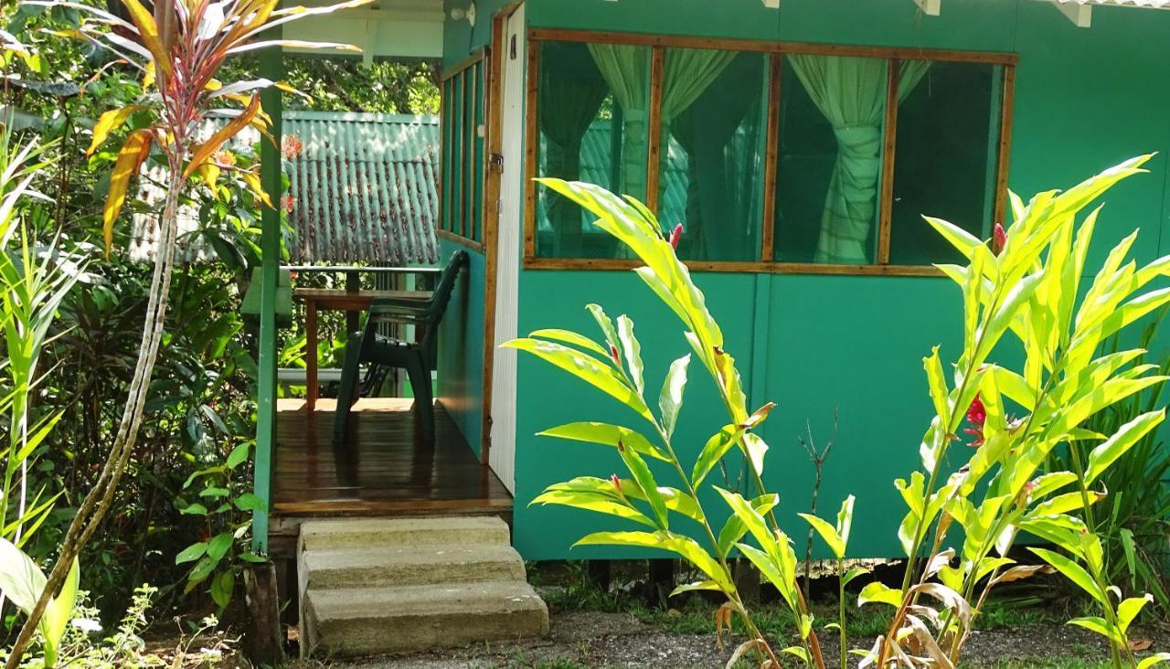 Casa Jade Hostel Drake Bay