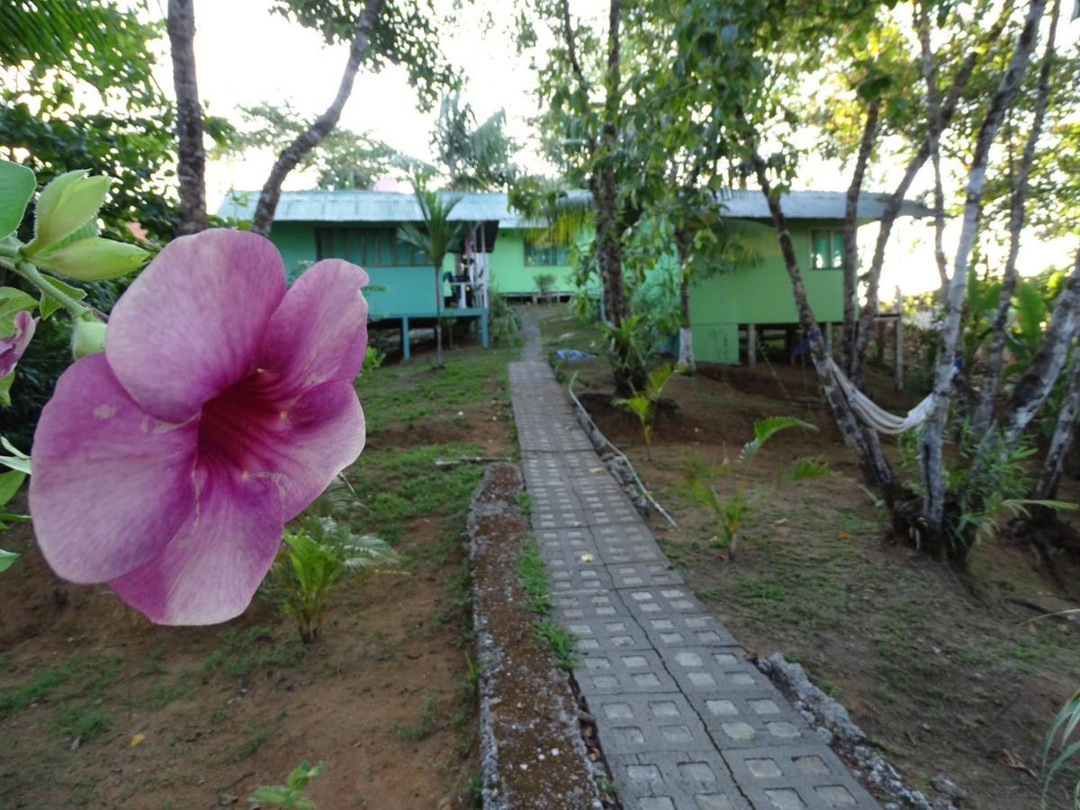 Hostel Casa Jade