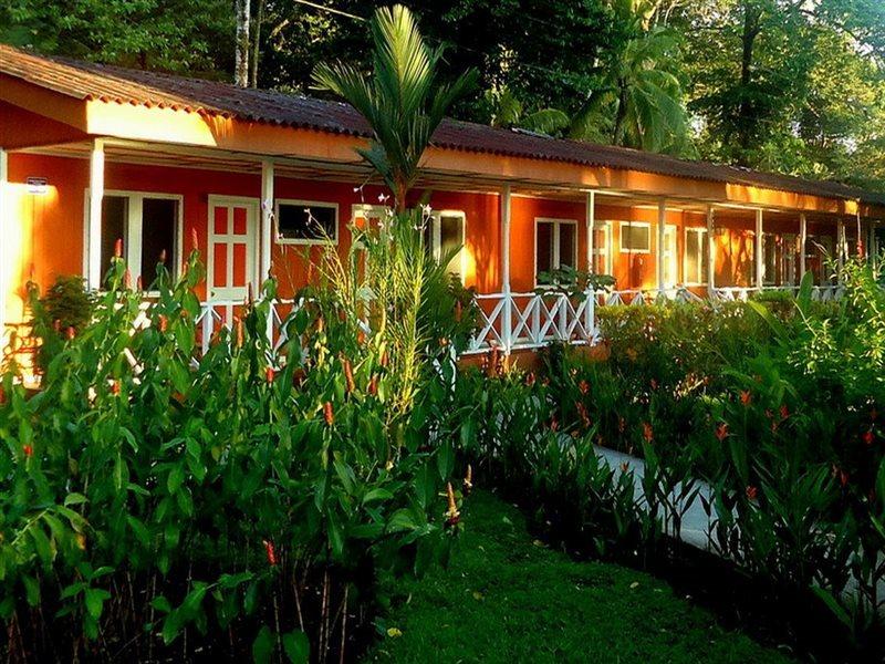 Baula * Tortuguero