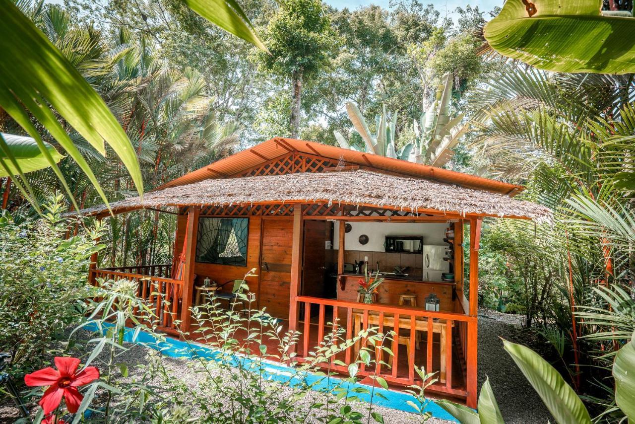 Casitas Flores
