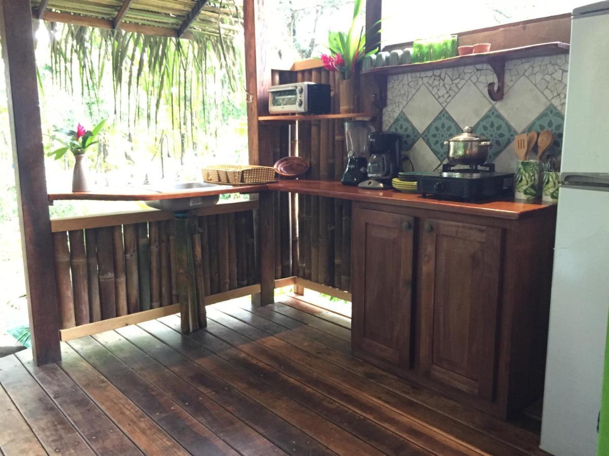 Cafe De La Suerte Lodge Pavones (Puntarenas)