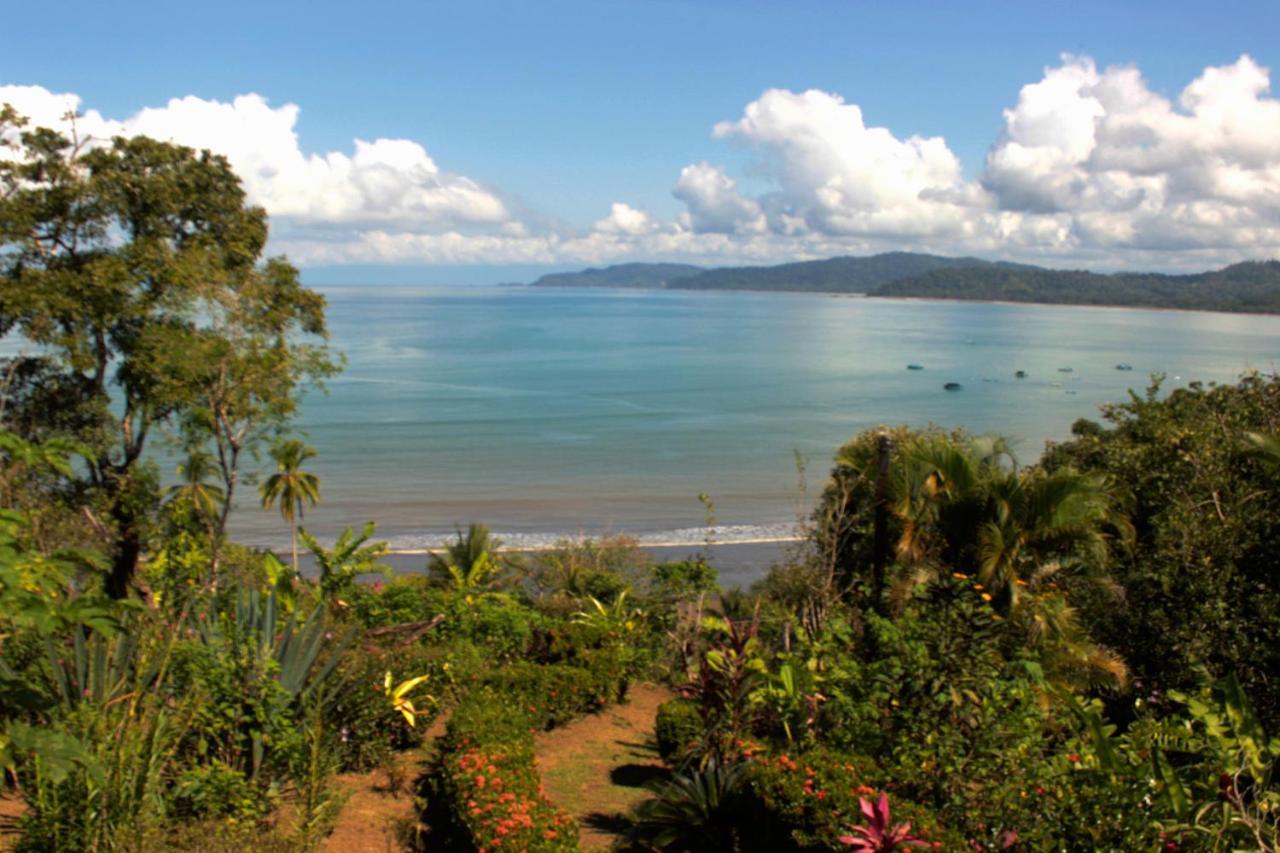 Bed & Breakfast Casa Horizontes Corcovado Drake Bay