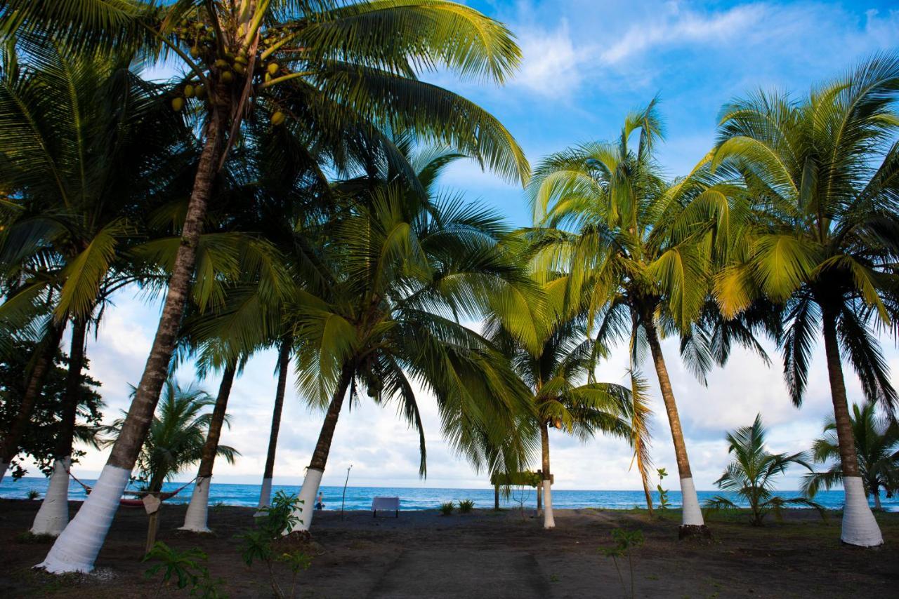 Beachfront Hotel 3*