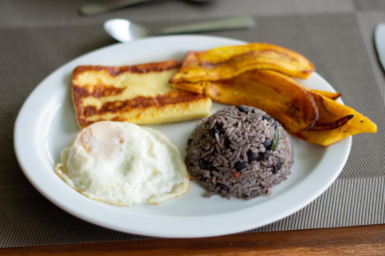 Bed & Breakfast Cabinas Eddy Monteverde