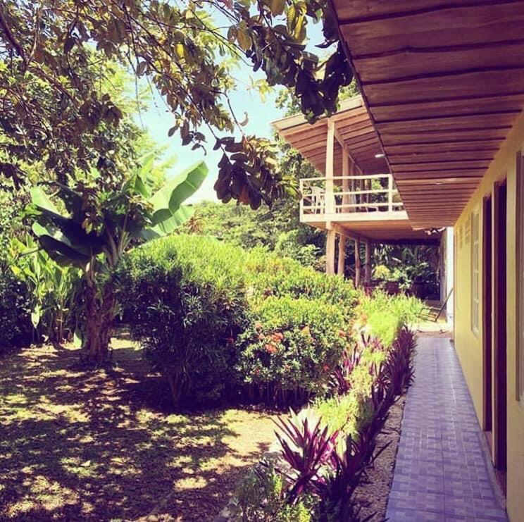 Blue Zone Retreat *