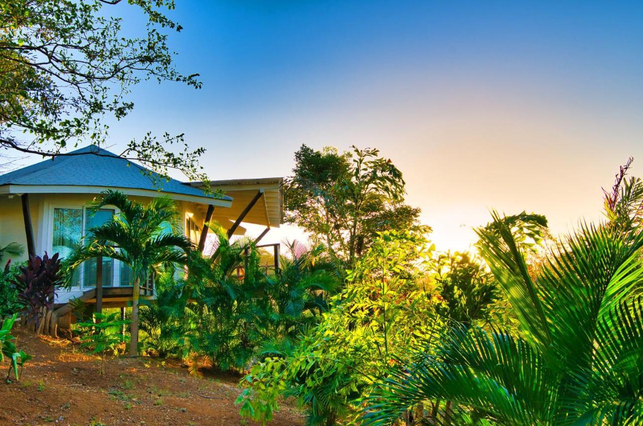 Mikado Natural Hotel