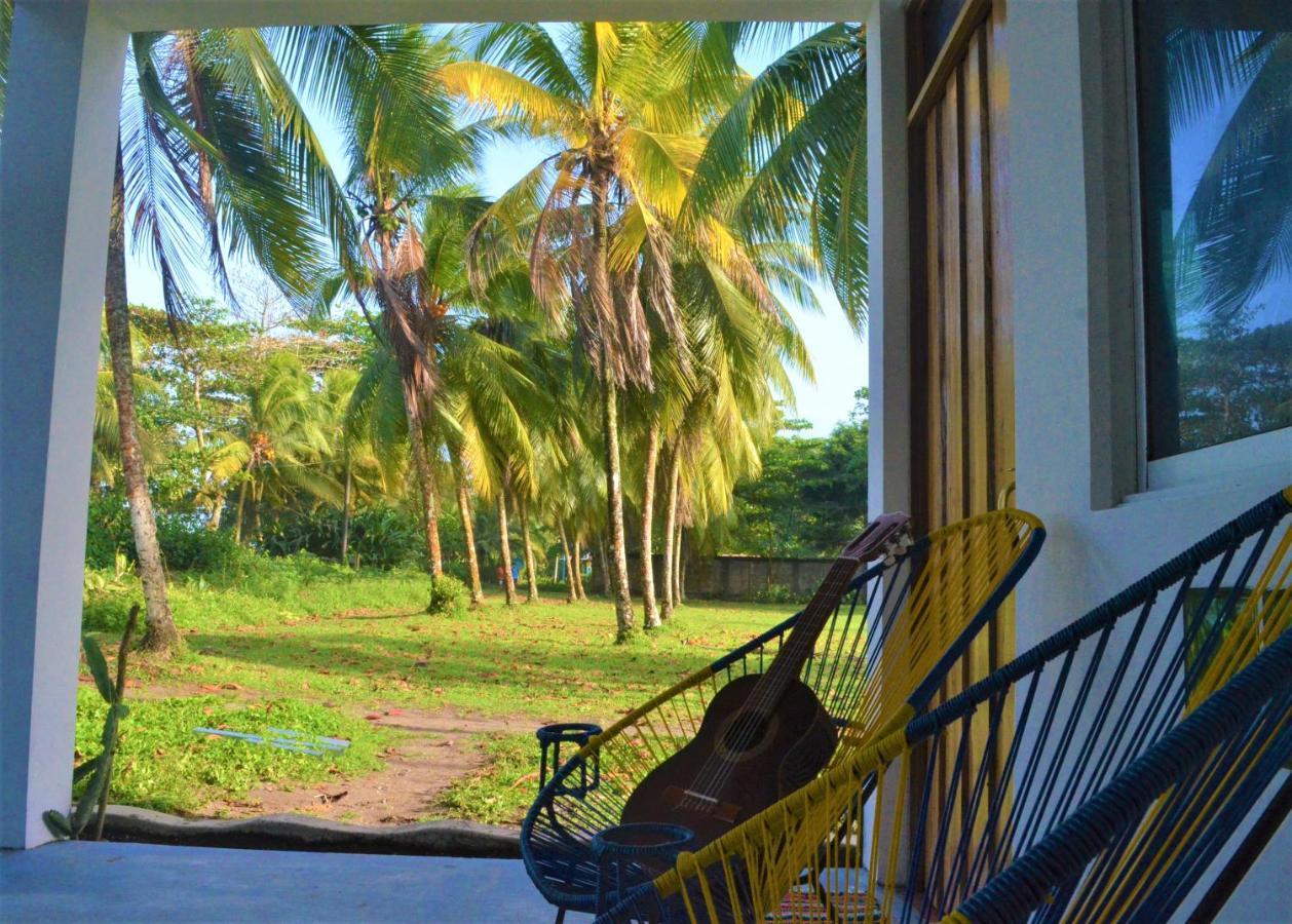 Guest house Pura Natura Beachfront Tortuguero